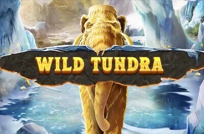 wild tundra slot logo