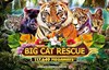 big cat rescue megaways slot logo