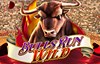 bulls run wild slot logo