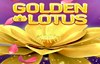 golden lotus slot logo