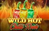 wild hot chilli reels slot logo
