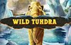 wild tundra слот лого