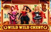 wild wild chest slot logo