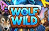 wolf wild slot logo