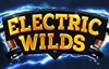 electric wilds slot logo