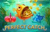 perfect catch slot logo