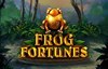 frog fortunes slot logo