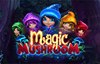 magic mushroom slot logo