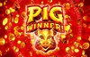 pig winner slot logo