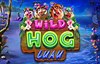 wild hog luau slot logo