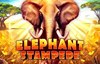 elephant stampede slot logo