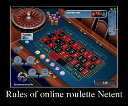 Rules of online roulette Netent