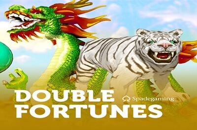 double fortune slot logo