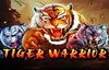 tiger warrior слот лого