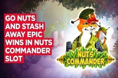 nuts commander slot logo