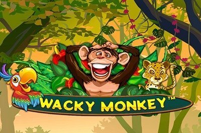 wacky monkey slot logo