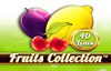 fruits collection 40 lines slot logo