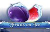 fruits on ice slot logo