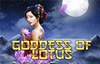 goddess of lotus слот лого