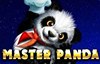 master panda slot logo