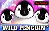 wild penguin slot logo