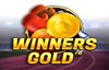 winners gold слот лого