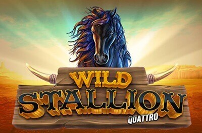 wild stallion quattro slot logo