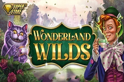 wonderland wilds slot logo