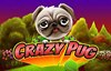crazy pug slot logo