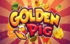 golden pig slot logo