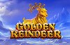 golden reindeer slot logo