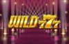 wild 777 slot logo