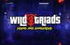 wild triads slot logo