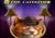 The Catfarther slot