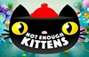 not enough kittens slot logo