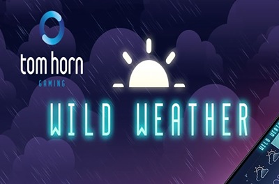 wild weather slot logo