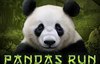 pandas run slot logo
