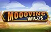 moooving wilds slot logo