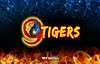 9 tigers slot logo