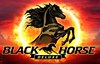 black horse deluxe слот лого