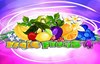 magic fruit 4 slot logo