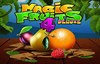 magic fruits 4 deluxe slot logo
