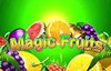 magic fruits deluxe slot logo