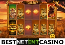 Игровой автомат Wild Cats Multiline