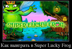 Как выиграть в Super Lucky Frog