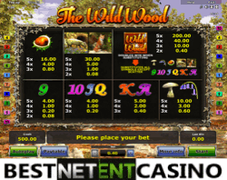 How to win at The Wild Wood video slot