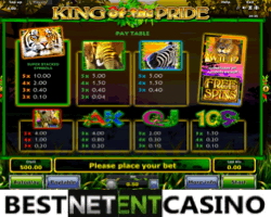 How to win at the King of the Pride video slot