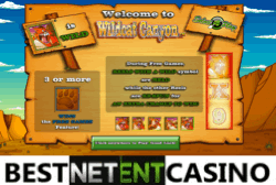 How to win аt Wildcat Canyon video slot