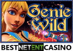 Как выиграть в игровой автомат Genia Wild