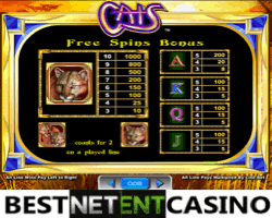 How to win at the Cats video slot
